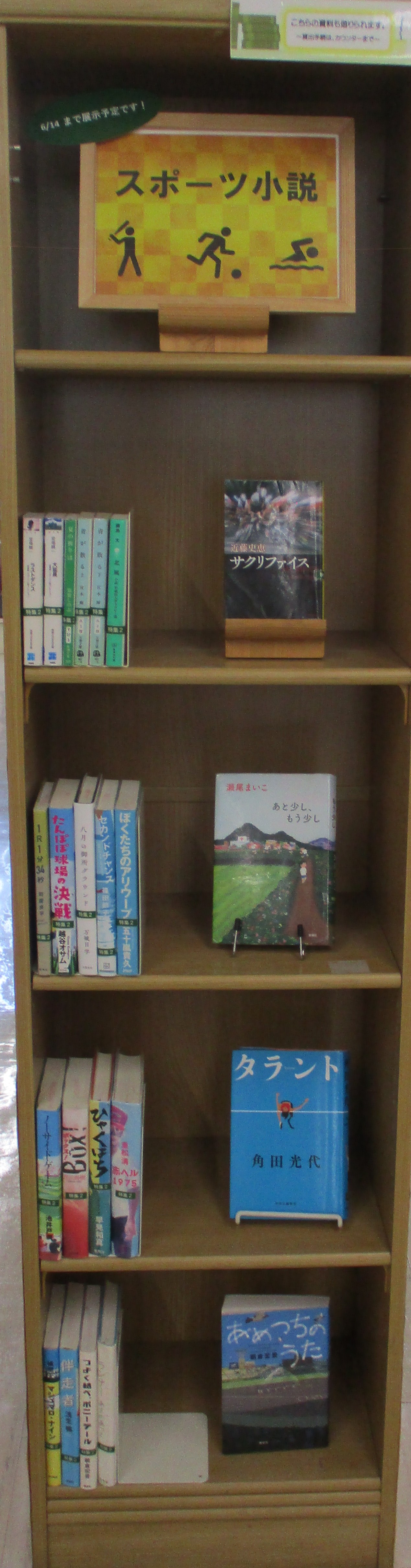 スポーツ小説特集棚の写真