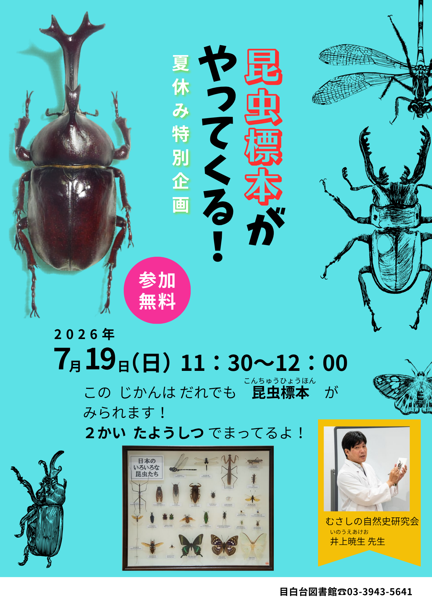 昆虫標本がやってくる！ポスター